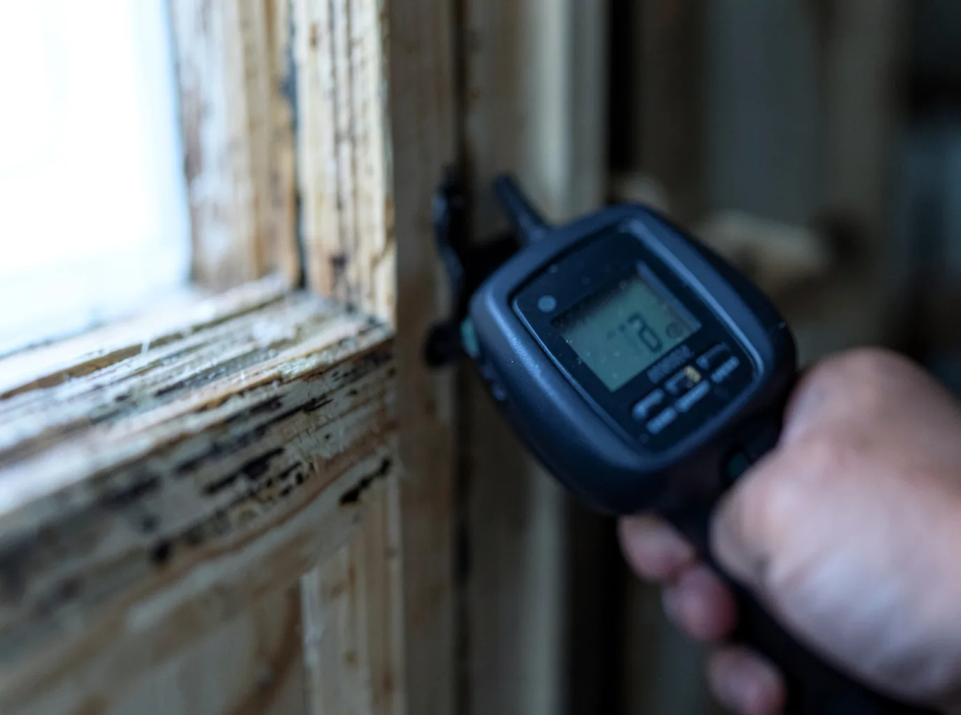 Moisture Inspection And Documentation in Jolon, CA
